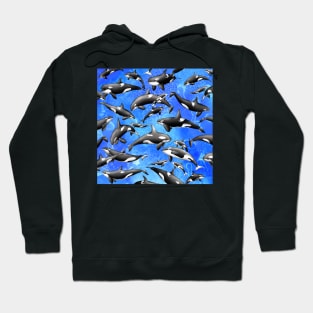 Orca Hoodie